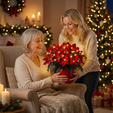Stralende Rode Kerstster