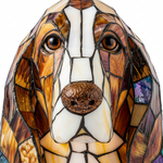 Serene Metgezel Hond