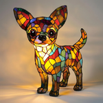 Leven met een Chihuahua