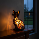 Feline Middernacht Kat