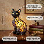 Feline Middernacht Kat