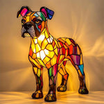 Schitterende Boxer Lamp