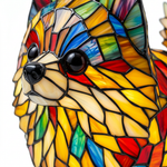Gouden Appel Pomeranian